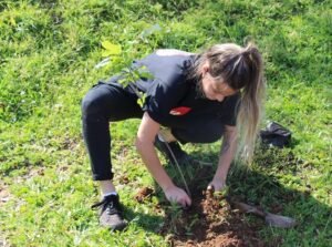 Para celebrar o Dia da Árvore, mutirão de plantio de espécies nativas acontecerá em Cachoeirinha