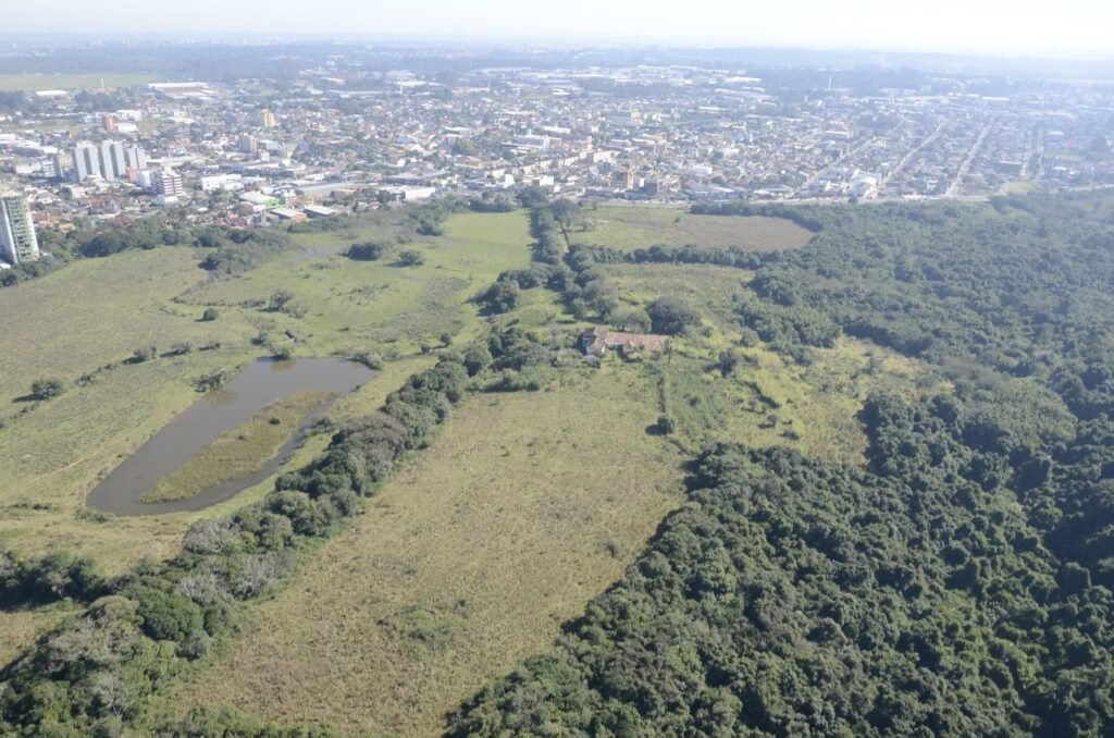 Projeto prevê parque ambiental no Mato do Júlio com investimento por emenda de R$ 50 milhões