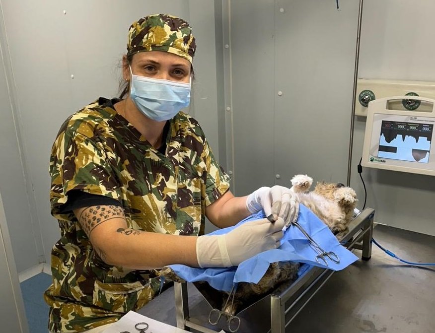 Para atendimentos veterinários gratuitos em Cachoeirinha, cadastros podem ser feitos até 6 de maio