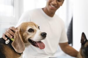 Organizado pelo Cesuca em Cachoeirinha, evento oportuniza ao público conhecer a atuação profissional do médico veterinário