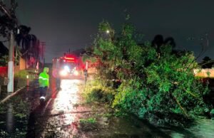 Casas destelhadas, quedas de árvores e postes: Equipes de Cachoeirinha atendem ocorrências após chuva forte e rajadas de vento