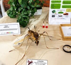 Encontro das Vigilâncias em Saúde de Cachoeirinha contará com exposição criada em Gravataí